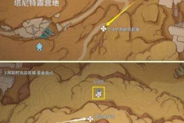 原神 須彌之旅 聖金蟲全採集路線篇 73個