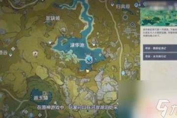 原神蓮蓬怎麼挖 原神蓮蓬在哪個城市