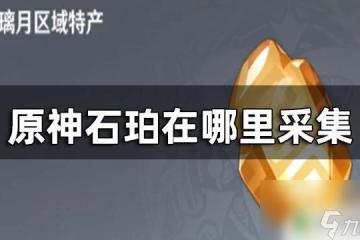原神石珀哪裡採摘 原神石珀採集地點圖