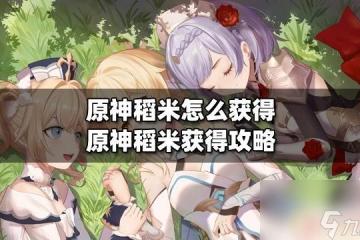 原神艾米怎麼獲取 原神怎麼獲取稻米