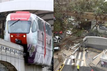 大樹轟然倒下壓中軌道　單軌火車大部分車站服務暫停