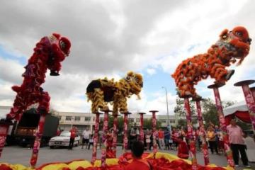 全國各地舞獅團缺學員　廣招新生應付訂單