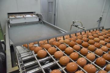 福布斯亞洲「10億美元以下最佳企業」出爐　獲選本地公司有的賣名表，有的賣雞蛋