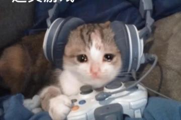 初來乍到的《世界啟元》 為何能打破SLG遊戲「非肝即氪」的鐵律？