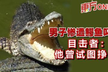 男子慘遭鱷魚叼走　目擊者：他曾試圖掙扎
