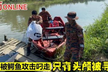 男子被鱷魚攻擊叼走　只有頭顱被尋獲