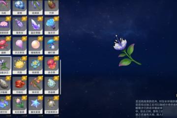 原神 V4.7攻略   帕蒂沙蘭全圖採集