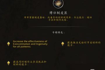 魔獸世界11.0制皮專精技能介紹