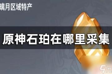 原神石珀採集地點圖 石珀在哪裡採集原神