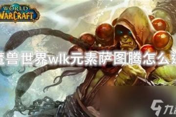 魔獸世界wlk元素薩圖騰怎麼選