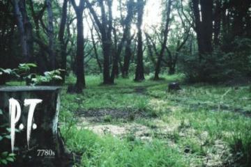 玩家熱議最惋惜哪款遊戲被取消：PT、星際爭霸幽靈等