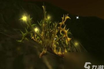 魔獸世界wlk採藥1-450快速升級方法 wlk採藥1-450怎麼最快升級