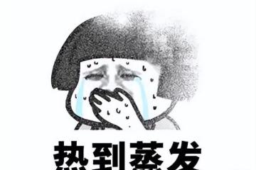 命運方舟開發商發行MMO新作，首日伺服器擠炸，玩家：又是換皮