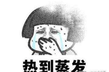 政治正確集大成之作！索尼新作搶先測試，成年度最辣眼遊戲！