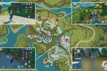 《原神》4.8帕蒂莎蘭在哪裡 最佳採集路線推薦