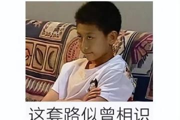 國版《動森》上線，8年打造慢生活交烏托邦，網友吐槽不如動森