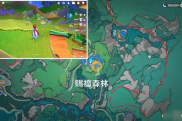 原神 V4.8攻略   限時世界任務—— 荷葉與森林的答案 攻略