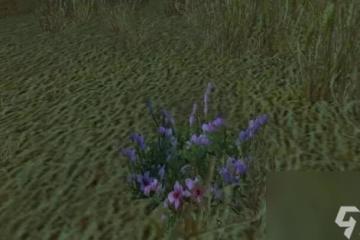 《魔獸世界》wlk草藥1-450快速沖級攻略