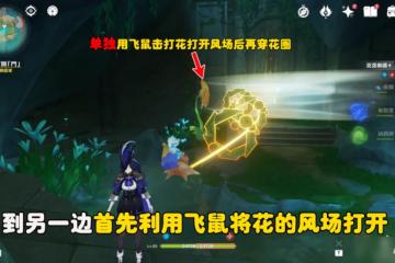 原神 V4.8攻略·    幽談窟 大門及雙重試煉花環解密