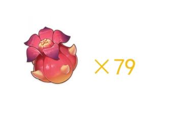 原神赤念果位置一覽