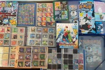 史上最大寶可夢收藏將拍賣 交易額或高達240萬元