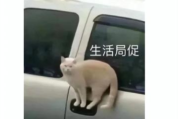 澀澀沒了，玩家全成小丑？一天收到1萬5千條差評：仙人跳