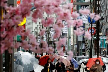 新加坡人最想去的日本終重開國門　但現在可能不是觀光好時機