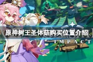 《原神》樹王聖體菇哪裡買？樹王聖體菇購買位置介紹