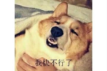 日本人搞砸了？吃雞版最終幻想一年就涼，網友：不如讓騰訊網易做