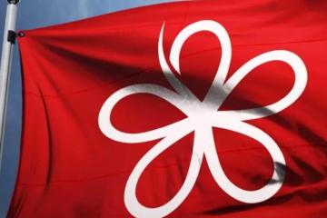 【大馬選舉】政治學者：土團黨選後泡沫化