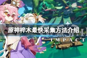 《原神》樺木哪裡多？樺木最快採集方法介紹