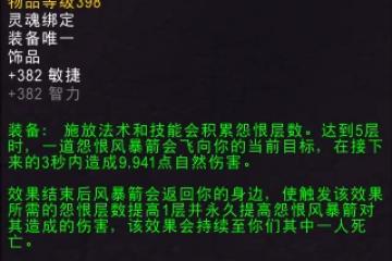 魔獸世界10.0飾品怨毒風暴效果介紹