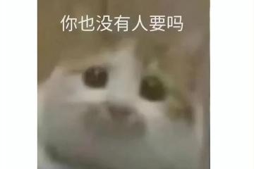 巧妙撞臉？《帝國時代》周年曝光新游，網友：咋和騰訊手游一樣？