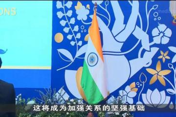 東協和印度正式升級為全面戰略夥伴關係