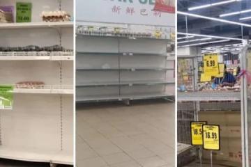 馬國「雞蛋荒」持續 大型超市老闆促限出口