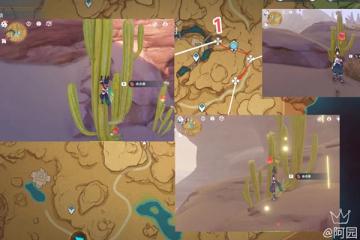 原神赤念果採集路線