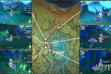 原神樹王聖體菇採集路線 流浪者突破材料