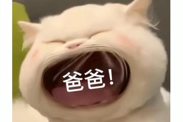 曾被騰訊拋棄的國產暗黑，如今對剛《暗黑不朽》，還嘲諷騰訊？