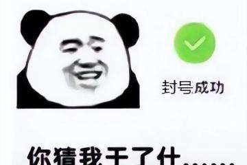 守望先鋒2亞服大量封號，非工作室也遭殃，玩家：這行為很暴雪