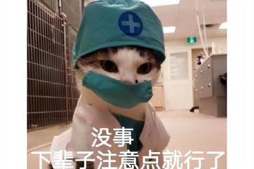 《巫師》還有手游？運營2年的AR遊戲，為給PC讓路宣布停運