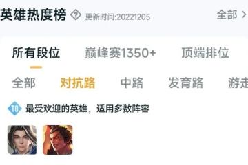 《王者榮耀》趙懷真技能釋放技巧及打野攻略